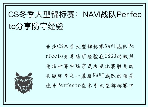 CS冬季大型锦标赛：NAVI战队Perfecto分享防守经验